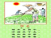 花城版（简谱）音乐二年级上册9《悯农》_课件