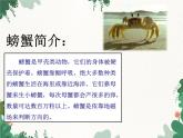 花城版（简谱）音乐二年级上册10《螃蟹歌》_课件