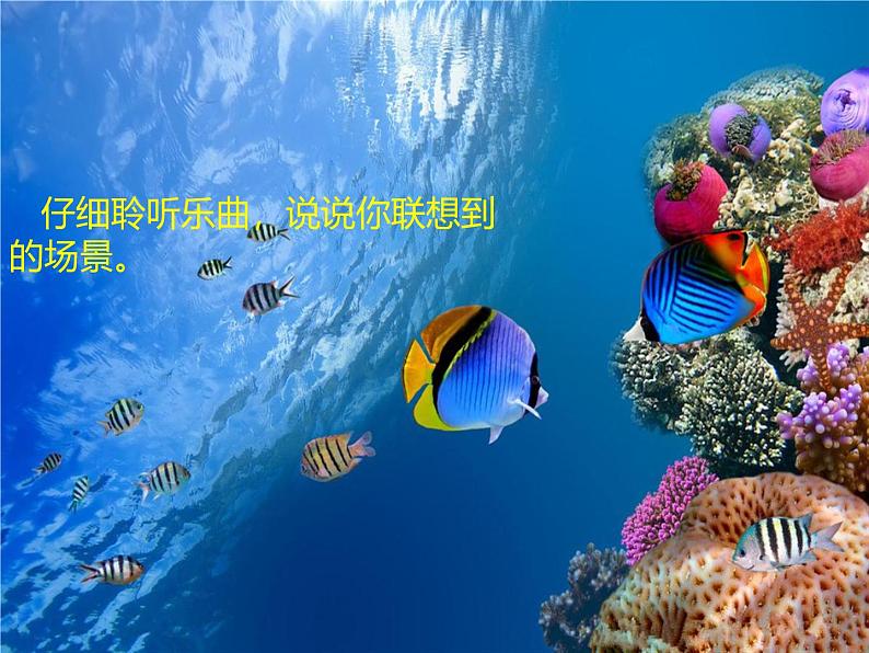 苏少版音乐（简谱）二年级上册 第六单元 水族馆 都睡着了_课件第8页