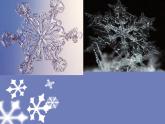 苏少版音乐（简谱）二年级上册 第八单元 小雪花 过新年_课件