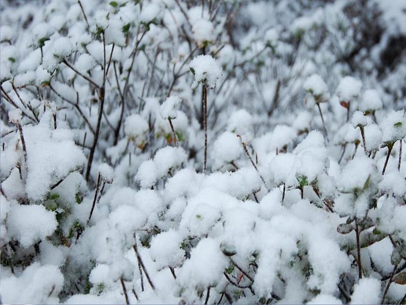 苏少版音乐（简谱）二年级上册 第八单元 小雪花 过新年_课件第7页