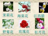 苏少版音乐（简谱）二年级上册 第一单元 好朋友 音乐游戏（打花巴掌）_课件