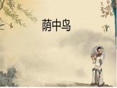 《荫中鸟》名师课件