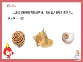 《小螺号》精品课件3