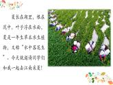 (简)《采菱》优质课件
