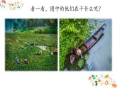 (线)《采菱》优质课件