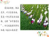 (线)《采菱》优质课件