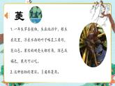 《采菱》精品课件