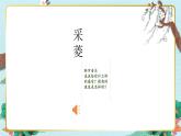 《采菱》精品课件