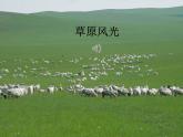 《牧羊姑娘》名师课件