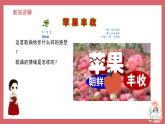 《苹果丰收》精品课件3