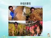 《苹果丰收》名师课件2