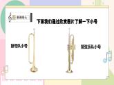 【粵教花城版】五上音樂  第5課《小號(hào)與弦樂》課件+教案+素材