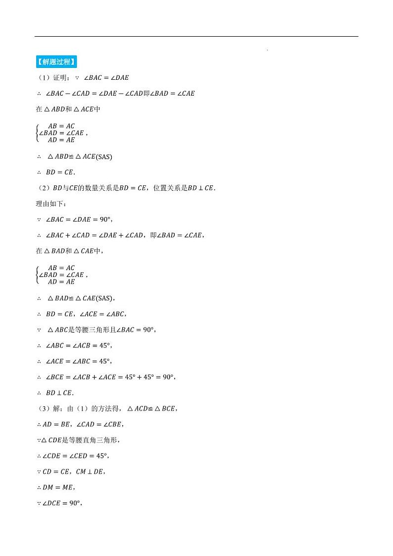 手拉手模型（压轴题专项讲练）（人教版）（原卷版）第2页