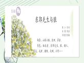 人教版小学音乐5下《东郭先生与狼》课件