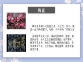 人教版小學(xué)音樂5下《梅花》課件