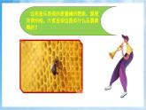 人音版音乐二年级下册第三单元第一课《蜜蜂》课件+教案+素材
