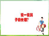 人教版音乐六年级下册第四单元《一对白鸽子》课件+教案+素材