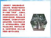 人音版音樂六年級下冊第五單元第三課《榕樹爺爺》課件+教案+素材