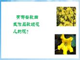 人音版音乐五年级下册第六单元第一课《花之歌》课件+教案+素材