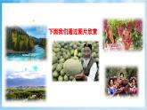 人音版音樂四年級下冊第二單元第四課《我是少年阿凡提》課件+教案+素材