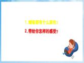 人音版音樂四年級下冊第四單元第三課《紅蜻蜓》課件+教案+素材