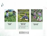 人教版小學(xué)音樂4下《少先隊員采茶歌》課件
