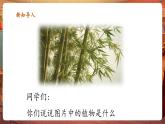 【新教材核心素养】人音版音乐一下第2单元《竹子冒尖尖》课件+同步教案+素材
