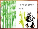 【新教材核心素养】人音版音乐一下第2单元《竹子冒尖尖》课件+同步教案+素材