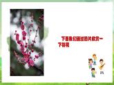 人教版音樂(lè)五年級(jí)下冊(cè)第五單元《梅花三弄》課件+教案+素材