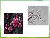 人教版音樂(lè)五年級(jí)下冊(cè)第五單元《梅花三弄》課件+教案+素材