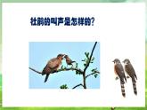 人教版音乐二年级下册第三单元《杜鹃圆舞曲》课件+教案+素材