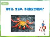 人教版音乐二年级下册第三单元《螃蟹哥》课件+教案+素材