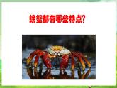 人教版音乐二年级下册第三单元《螃蟹哥》课件+教案+素材