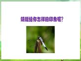 人教版音樂四年級下冊第四單元第三課《紅蜻蜓》課件+教案+素材