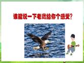 人教版音樂四年級下冊第四單元第五課《飛馳的鷹》課件+教案+素材