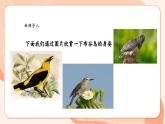 【新课标新教材】花城版音乐一年级上册第5单元《布谷叫，春天到》教学设计+课件+素材