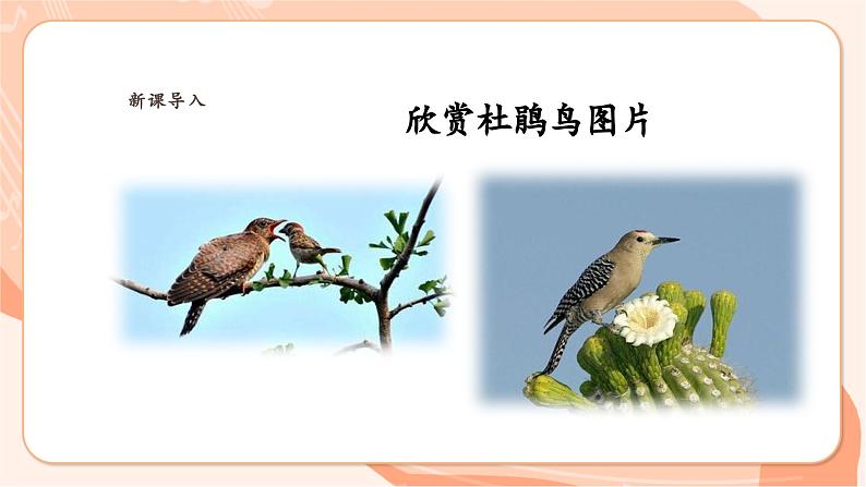 【新课标新教材】花城版音乐一年级上册-《顽皮的杜鹃》课件第5页