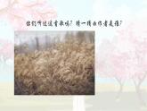 人音版六年级下册音乐第一课《花非花》课件