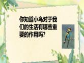 人音版小學五年級音樂下冊第一單元《小鳥小鳥》課件