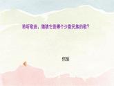 人音版小学五年级音乐下册第二单元《迷人的火塘》课件
