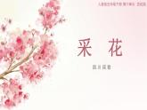 人音版小學音樂五年級下冊第六單元《采花》課件