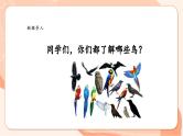 【核心素养优质课】花城版音乐三年级上册第5课《小斑鸠对我说》课件+同步教案+素材