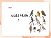 【核心素养优质课】花城版音乐三年级上册第5课《小斑鸠对我说》课件+同步教案+素材