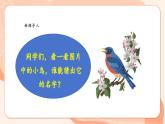 【核心素养优质课】花城版音乐三年级上册第6课《杜鹃圆舞曲》教案+课件+素材