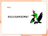 【核心素养优质课】花城版音乐三年级上册第7课《翠鸟咕咕唱》课件+同步教案+素材