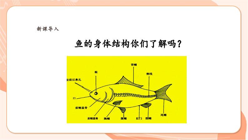 【新课标】花城版音乐四年级上册-《小小鲤鱼粉红鳃》课件第5页