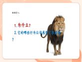 【核心素养优质课】花城版音乐四年级上册第8课《引子与狮王进行曲》课件+同步教案+素材