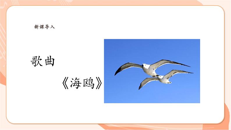 【新课标】花城版音乐六年级上册-《海鸥》课件第6页