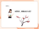 【核心素养优质课】花城版音乐六年级上册第7课《梅花三弄》课件+同步教案+素材